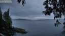 ./images/koeye/fitz-hugh/20250529/fitz-hugh20250529_215507M.jpg