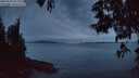 ./images/koeye/fitz-hugh/20250529/fitz-hugh20250529_221509M.jpg