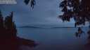 ./images/koeye/fitz-hugh/20250529/fitz-hugh20250529_222008M.jpg