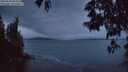 ./images/koeye/fitz-hugh/20250530/fitz-hugh20250530_044509M.jpg