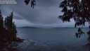./images/koeye/fitz-hugh/20250530/fitz-hugh20250530_045009M.jpg