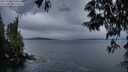./images/koeye/fitz-hugh/20250530/fitz-hugh20250530_050508M.jpg