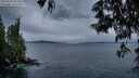 ./images/koeye/fitz-hugh/20250530/fitz-hugh20250530_051009M.jpg