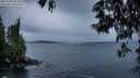 ./images/koeye/fitz-hugh/20250530/fitz-hugh20250530_052008M.jpg