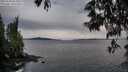 ./images/koeye/fitz-hugh/20250530/fitz-hugh20250530_055009M.jpg