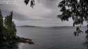 ./images/koeye/fitz-hugh/20250530/fitz-hugh20250530_062510M.jpg