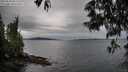./images/koeye/fitz-hugh/20250530/fitz-hugh20250530_065509M.jpg