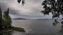 ./images/koeye/fitz-hugh/20250530/fitz-hugh20250530_070510M.jpg