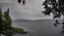 ./images/koeye/fitz-hugh/20250530/fitz-hugh20250530_075010M.jpg