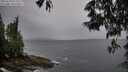 ./images/koeye/fitz-hugh/20250530/fitz-hugh20250530_075509M.jpg