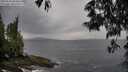 ./images/koeye/fitz-hugh/20250530/fitz-hugh20250530_080012M.jpg