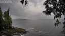 ./images/koeye/fitz-hugh/20250530/fitz-hugh20250530_080508M.jpg