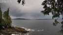 ./images/koeye/fitz-hugh/20250530/fitz-hugh20250530_081510M.jpg