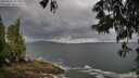 ./images/koeye/fitz-hugh/20250530/fitz-hugh20250530_095010M.jpg
