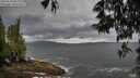 ./images/koeye/fitz-hugh/20250530/fitz-hugh20250530_095510M.jpg