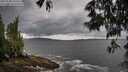 ./images/koeye/fitz-hugh/20250530/fitz-hugh20250530_100509M.jpg