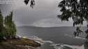 ./images/koeye/fitz-hugh/20250530/fitz-hugh20250530_102510M.jpg