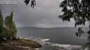 ./images/koeye/fitz-hugh/20250530/fitz-hugh20250530_103012M.jpg