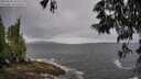 ./images/koeye/fitz-hugh/20250530/fitz-hugh20250530_105008M.jpg