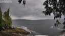 ./images/koeye/fitz-hugh/20250530/fitz-hugh20250530_105508M.jpg