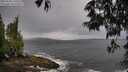 ./images/koeye/fitz-hugh/20250530/fitz-hugh20250530_110510M.jpg