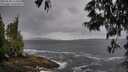 ./images/koeye/fitz-hugh/20250530/fitz-hugh20250530_113510M.jpg