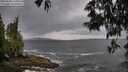 ./images/koeye/fitz-hugh/20250530/fitz-hugh20250530_115010M.jpg