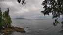 ./images/koeye/fitz-hugh/20250530/fitz-hugh20250530_133510M.jpg