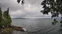 ./images/koeye/fitz-hugh/20250530/fitz-hugh20250530_134010M.jpg