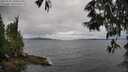 ./images/koeye/fitz-hugh/20250530/fitz-hugh20250530_135010M.jpg