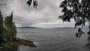 ./images/koeye/fitz-hugh/20250530/fitz-hugh20250530_135509M.jpg