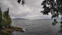 ./images/koeye/fitz-hugh/20250530/fitz-hugh20250530_140510M.jpg