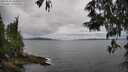 ./images/koeye/fitz-hugh/20250530/fitz-hugh20250530_141009M.jpg