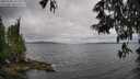 ./images/koeye/fitz-hugh/20250530/fitz-hugh20250530_141511M.jpg