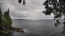 ./images/koeye/fitz-hugh/20250530/fitz-hugh20250530_142009M.jpg