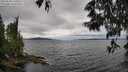 ./images/koeye/fitz-hugh/20250530/fitz-hugh20250530_143509M.jpg