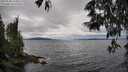 ./images/koeye/fitz-hugh/20250530/fitz-hugh20250530_144007M.jpg