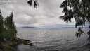 ./images/koeye/fitz-hugh/20250530/fitz-hugh20250530_144511M.jpg