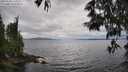 ./images/koeye/fitz-hugh/20250530/fitz-hugh20250530_145009M.jpg