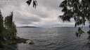 ./images/koeye/fitz-hugh/20250530/fitz-hugh20250530_150510M.jpg