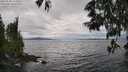 ./images/koeye/fitz-hugh/20250530/fitz-hugh20250530_152010M.jpg