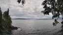 ./images/koeye/fitz-hugh/20250530/fitz-hugh20250530_154010M.jpg