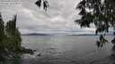 ./images/koeye/fitz-hugh/20250530/fitz-hugh20250530_154511M.jpg