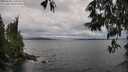 ./images/koeye/fitz-hugh/20250530/fitz-hugh20250530_160510M.jpg