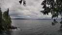 ./images/koeye/fitz-hugh/20250530/fitz-hugh20250530_161009M.jpg