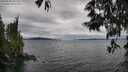 ./images/koeye/fitz-hugh/20250530/fitz-hugh20250530_161509M.jpg
