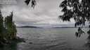 ./images/koeye/fitz-hugh/20250530/fitz-hugh20250530_162509M.jpg
