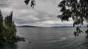 ./images/koeye/fitz-hugh/20250530/fitz-hugh20250530_163510M.jpg