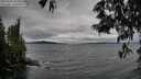 ./images/koeye/fitz-hugh/20250530/fitz-hugh20250530_164010M.jpg
