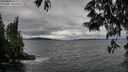 ./images/koeye/fitz-hugh/20250530/fitz-hugh20250530_164511M.jpg